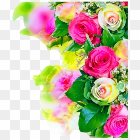 Thumb Image - Flower Images Hd Png, Transparent Png - rose petal png