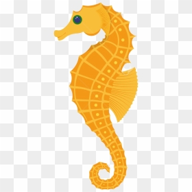 Seahorse Vector Illustration, HD Png Download - seahorse png