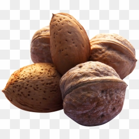 Nuts - Nuts Transparent, HD Png Download - nuts png