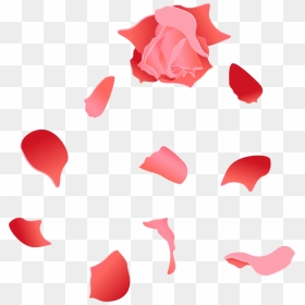 Beach Rose Petal Euclidean Vector - Rose Petal Vector Png, Transparent Png - rose petal png