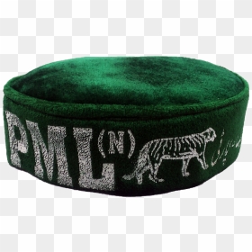 Pml Round Cap - Tiger, HD Png Download - dunce cap png