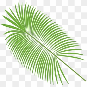 Palm Leaves Vector Material Png Download - Palm Leaf Transparent Background, Png Download - tropical leaf png