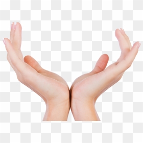 Hand, HD Png Download - open hand png