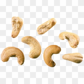 Cashew Nut Png - Transparent Background Cashew Png, Png Download - nuts png