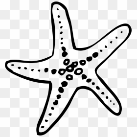 Francis Len Oasis Wedding - Starfish Doodle Png, Transparent Png - doodle png