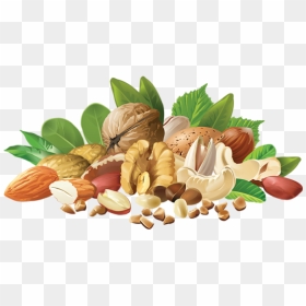 Realistic Different Nuts, Realistic Nuts, Different - Vector Nuts Png, Transparent Png - nuts png
