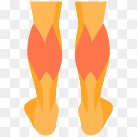 Calves Icon Free Download Png And, Transparent Png - muscle png