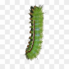 Caterpillar Png Transparent Image - Caterpillar Png Transparent, Png Download - caterpillar png