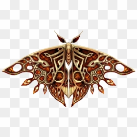 Moth Transparent Images Png - Queen Moth, Png Download - moth png