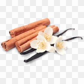 Cinnamon Vanilla Png - Vanilla Cinnamon Png Transparente, Png Download - cinnamon png