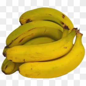 Saba Banana, HD Png Download - bananas png