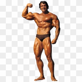 Arnold Schwarzenegger Bodybuilding Png, Transparent Png - arnold schwarzenegger png