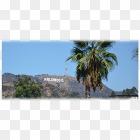 Hollywood Sign Png, Transparent Png - hollywood sign png