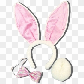 If You Have A Set Of Bunny Ears, That Will Be Fine - Rabbit, HD Png Download - bunny ears png