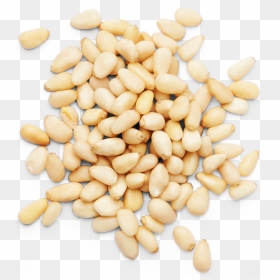 Pine Nuts Png Clip Freeuse Stock - Pine Nuts Png, Transparent Png - nuts png