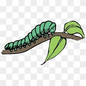 Caterpillar Clip Art - Caterpillar On Branch Clipart, HD Png Download - caterpillar png