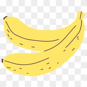 Bananas Clipart - Saba Banana, HD Png Download - bananas png