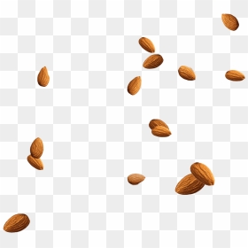 Almond Nuts Png Clipart - Almond Png, Transparent Png - nuts png