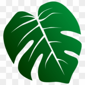 #folha #verde #arvore #decorativa - Jungle Leaves Clipart, HD Png Download - tropical leaf png