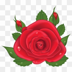 Imagens De Flores Vermelhas Png, Transparent Png - red roses png