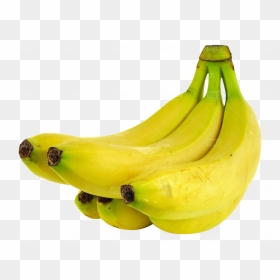 Saba Banana, HD Png Download - bananas png