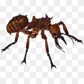 Thumb Image - Giant Ant Png, Transparent Png - ant png