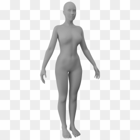 201802 Human Female - Standing, HD Png Download - woman standing png