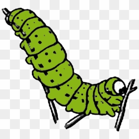 Caterpillar Png Photo Background - Free Clip Art Caterpillar, Transparent Png - caterpillar png