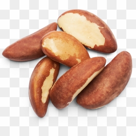 Brazil Nuts Images - Brazil Nut Transparent Background, HD Png Download - nuts png