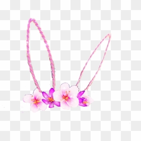 Bunnyrabbit Bunny Bunnyears Snapchat Snapchatfilter - Moth Orchid, HD Png Download - bunny ears png
