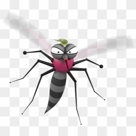 Meet The Bugs, HD Png Download - ant png