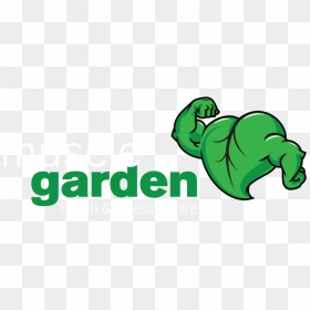 Muscle Garden Health And Fitness Centre Logo - Muscle Garden, HD Png Download - muscle png