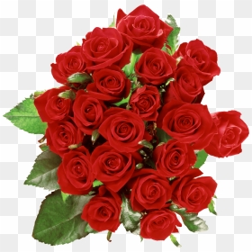 Bouquet Of Roses - Bouquet Of Roses Transparent, HD Png Download - rosas png