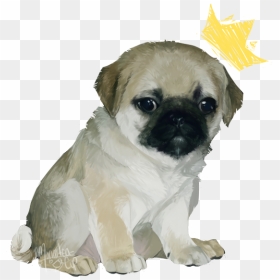 Cute Pugs Png - Pug, Transparent Png - pug png