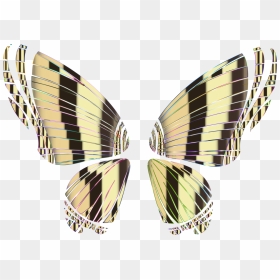 Butterfly,symmetry,moth - Portable Network Graphics, HD Png Download - moth png