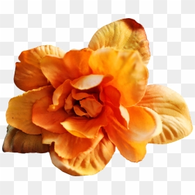 Hand Painted Warm Yellow Flowers Png Transparent - Warm Flower Png, Png Download - yellow flowers png