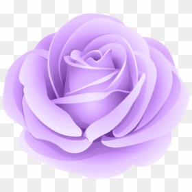 Transparent Violet Flower Png - Transparent Purple Rose, Png Download - purple rose png