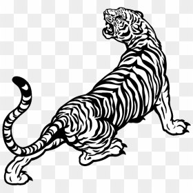 White Tiger Drawing Black And White - Tiger Png Black And White, Transparent Png - white tiger png