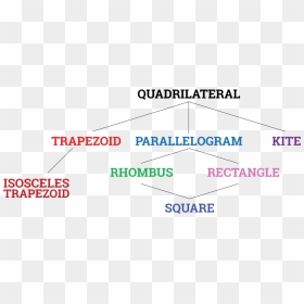 Quadrilateral Flow Chart - International House Philadelphia, HD Png Download - trapezoid png
