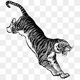 Jumping Tiger Clip Arts - Jumping Tiger Drawing, HD Png Download - white tiger png