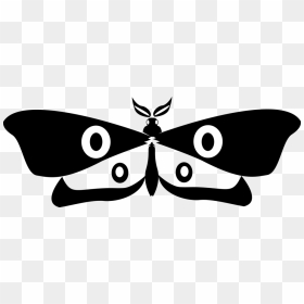 Moth, HD Png Download - moth png