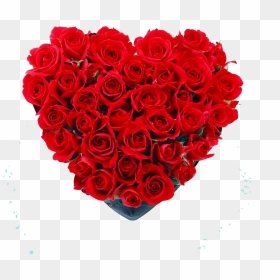 Caja Corazón Con Rosas - Red Rose, HD Png Download - rosas png