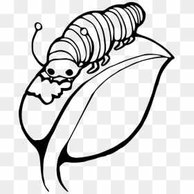 Caterpillar On A Leaf, HD Png Download - caterpillar png