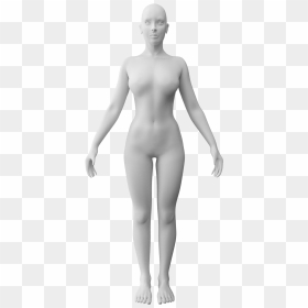201802 Human Female Anim - Standing, HD Png Download - woman standing png