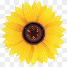 Sunflower Png Image Free Download Searchpng - Sun Flower, Transparent Png - sunflowers png