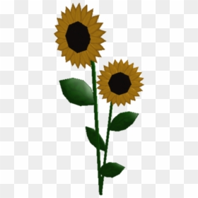 Deed Of Change Of Name Stamp, HD Png Download - sunflowers png