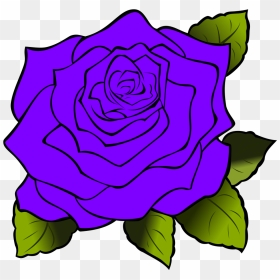 Red Rose Drawing, HD Png Download - purple rose png