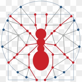 Circle, HD Png Download - ant png
