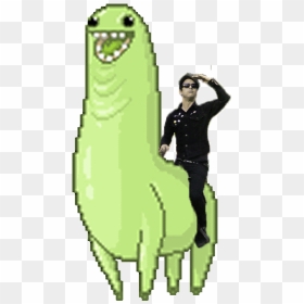 Dance Gif Png Meme Transparent Funnypictures - Green Llama Gif, Png Download - dancing gif png