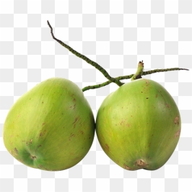Agua De Coco Png , Png Download - Agua Coco Png, Transparent Png - coco png